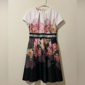NWOT Ted Baker London Valerey Floral Skater Mini Dress, UK 3, US 8